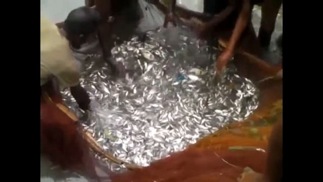 НЕВЕРОЯТНАЯ РЫБАЛКА В КАМБОДЖА!!! НЕБЕЗОПАСНАЯ ЛОВЛЯ РЫБЫ!! А ВДРУГ КРОКОДИЛ смотреть онлайн