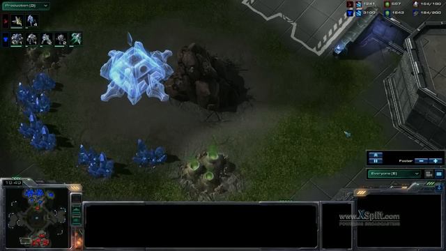 Adventures In Starcraft Beta League