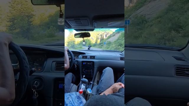 Катон Карагай наш отпуск! #КатонКарагай #отпуск #дикари #расказы смотреть онлайн