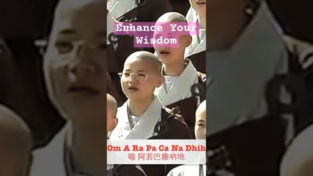 Om A Ra Pa Ca Na Dhih: The Mantra For Unlocking Your Wisdom #文殊菩薩心咒 #dailymantra смотреть онлайн