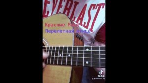 Перелетная птица гр.  Красные маки