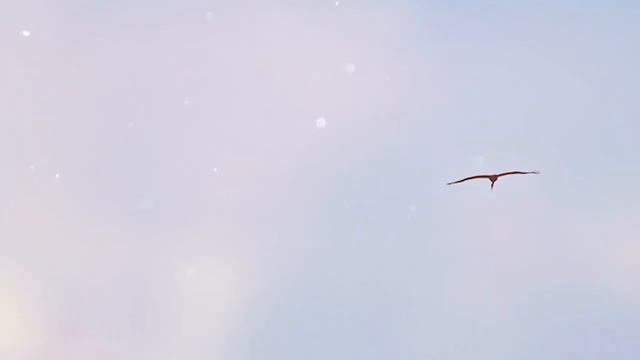 Люди, прошу я, потише, потише. Войны пусть сгинут во мгле!