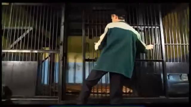 Галилео Зоопарк часть 1 смотреть онлайн