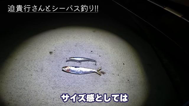 【シーバス】ミラクルワークス増田氏追悼釣行2023【SUBBED】 смотреть онлайн