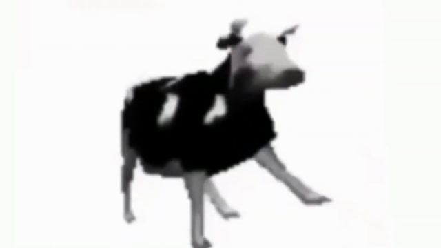 Польская корова Reverse