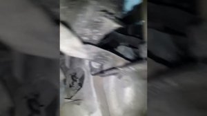 датчик коленвала шкода А7 2014 год. двс MPI