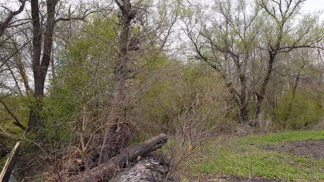 с. Крещенка Липецкая область смотреть онлайн