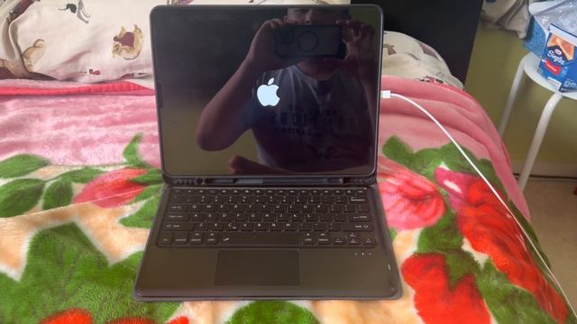 iPad Pro (12.9-inch)(4th gen) Charging and Startup смотреть онлайн
