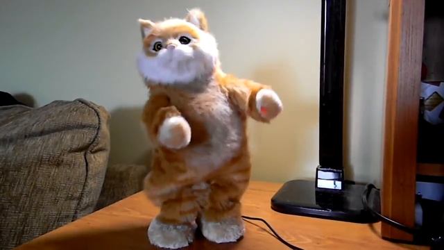 Обзор танцующая колонка - кот (Party Animal Dancing Speakers) смотреть онлайн