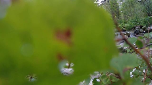 Altai 2014 смотреть онлайн