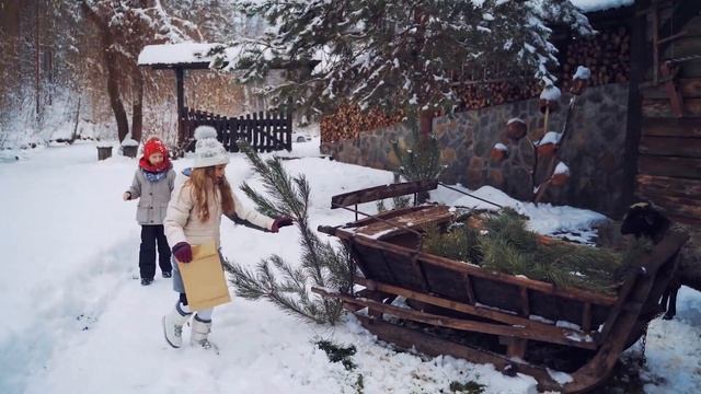 Невероятные пейзажи Снегопад Волшебная Мелодия Прекрасная музыка для Души Рождественская Ночь смотреть онлайн