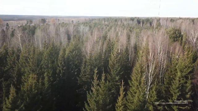 д. Чугунка, Колпашевский район смотреть онлайн