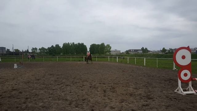 Конный клуб Ульяновск смотреть онлайн