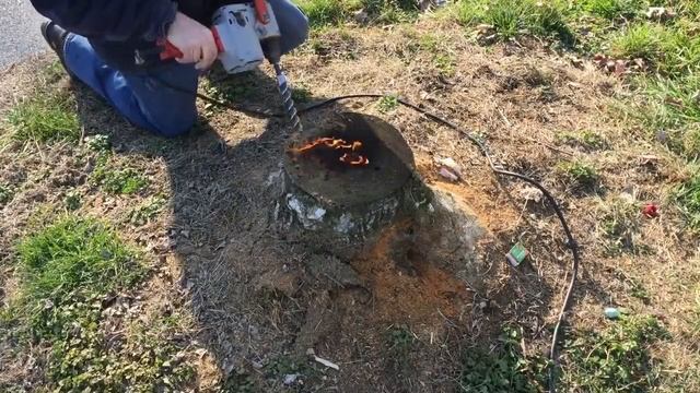 The most amazing way to remove a stump!! E16 смотреть онлайн