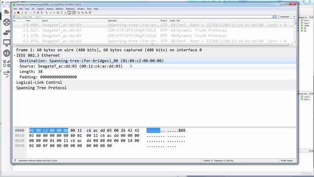 05 Demo. STP Root смотреть онлайн