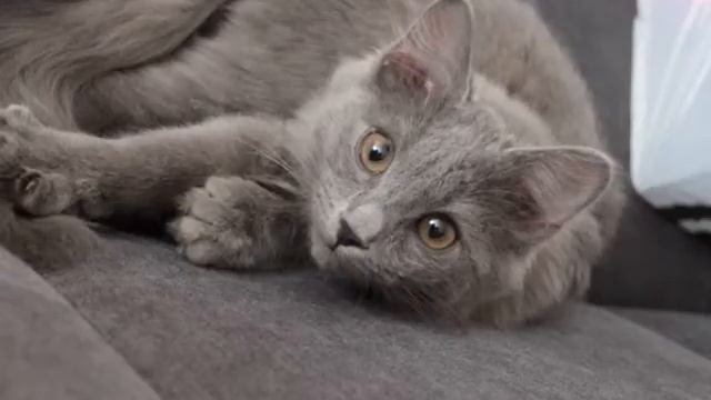 Потеряшки 21.02.2014