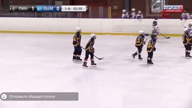 Гол Михаила Смурова в ворота ХК "Вымпел". хоккей-индивидуально.рф смотреть онлайн