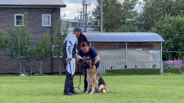 7.  выражено/пож NAGAYNA V. MAIR HOF (De Orse Mak Flai Yagor – Радонеж Лексис)