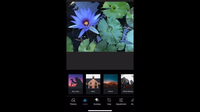 Pop Color in Photoshop Express смотреть онлайн