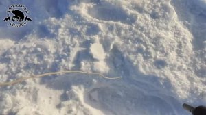 Крутые ввертыши для палатки под ШУРУПОВЕРТ! Адаптер в КОМПЛЕКТЕ!