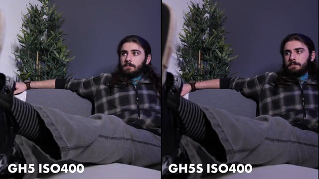GH5 VS GH5S - WHICH IS BEST FOR VIDEO?