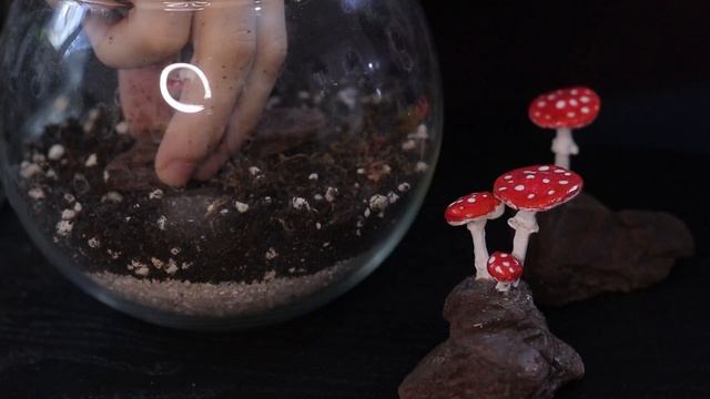 ? Creating a Mushroom Terrarium? смотреть онлайн