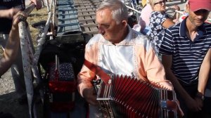 Рвет ДУШУ! Нижегородская гармонь мастера Мякушева. Исполняет Александр Мещеряков.