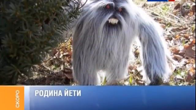 Окончание программы "Мнение" и заставка "События" (Россия-24, 26.11.2012) смотреть онлайн