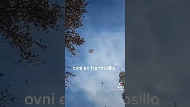Ovnis ? Mexico Hermosillo смотреть онлайн