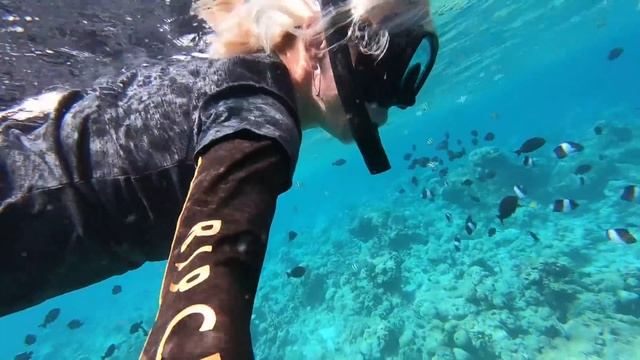 Мальдивские острова-Омаду(Omadhoo).Курорт для тех, кто не миллионер. (часть 3)) смотреть онлайн