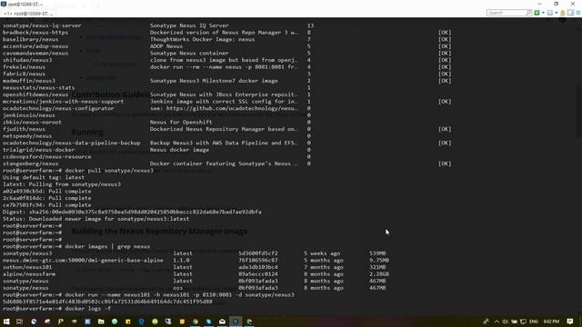 How to run and setup Nexus DevOps Tools in Docker смотреть онлайн