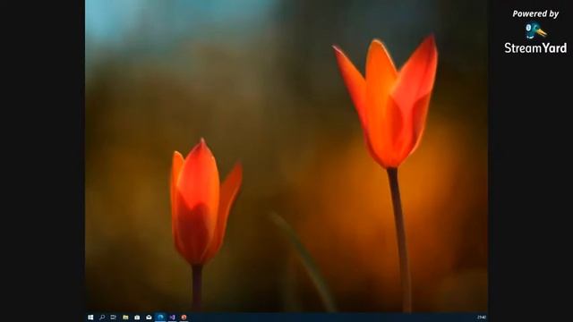 [ONLINE | AI] Introdução ao ML.Net смотреть онлайн