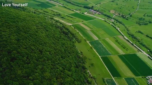 오늘 하루가 어때, 음악 치료 선집은 내 마음을 달래줍니다 - 편안한 피아노 재생 목록 смотреть онлайн