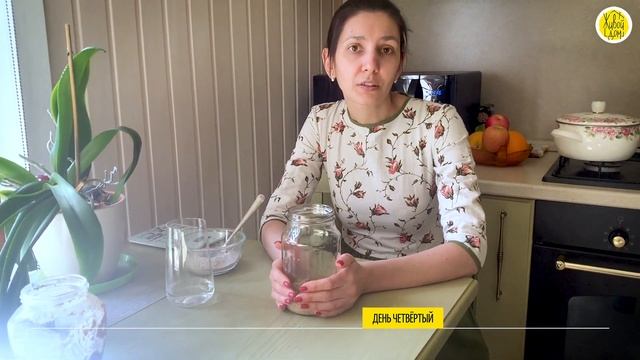 Живой Дом: ВЫВЕДЕНИЕ ЗАКВАСКИ - Пошаговая видеоинструкция смотреть онлайн