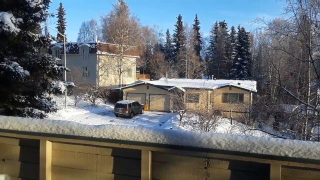 День Благодарения.США. Аляска . Анкоридж. День Благодарения.США. Аляска . Анкоридж.. смотреть онлайн