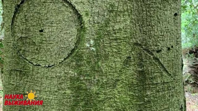 Искусство и Саморазвитие