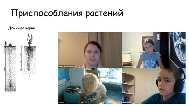 Интенсив по Географии онлайн в Систематике смотреть онлайн