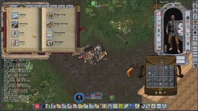 Ultima Online: Endless Journey 2022 смотреть онлайн