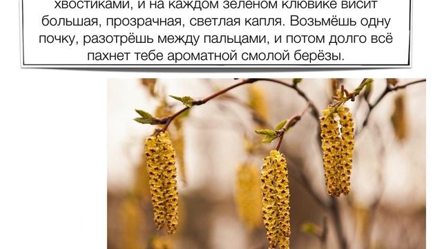 Литературное чтение 21 апреля (С. Маршак М. Пришвин) смотреть онлайн