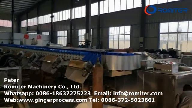 Посещение завода по производству автоматических машин для обработки имбиря