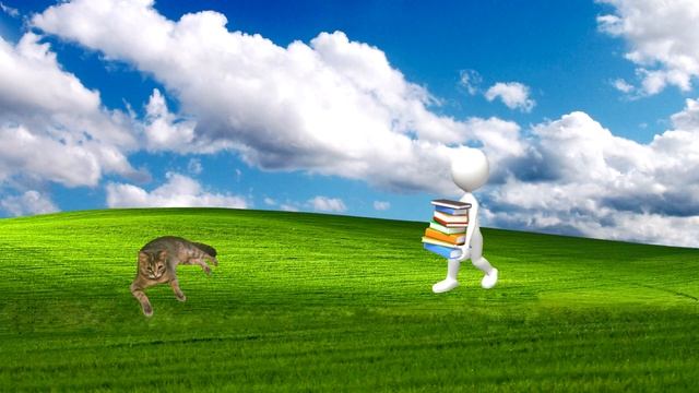 На рабочем столе Windows XP происходит балаган. Кот и парень не поделили район смотреть онлайн