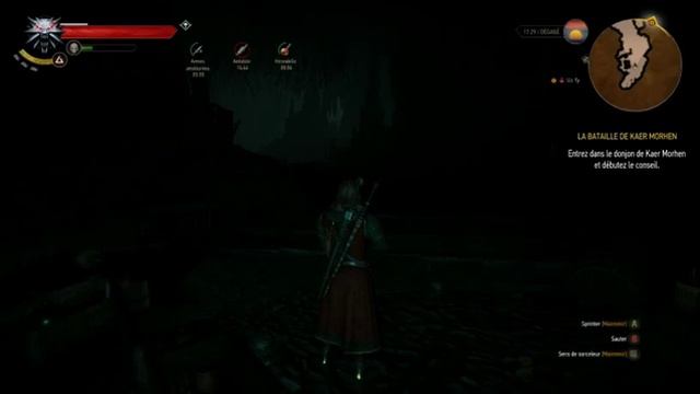 the witcher 3 wild hunt / GTX 960 STRIX et AMD PHENOM II x4 965 смотреть онлайн