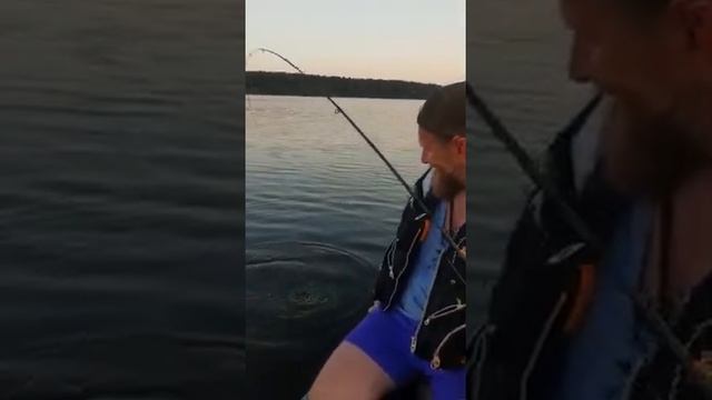 Поймали большую рыбу