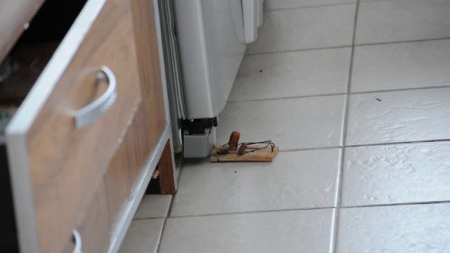 Souris c'est sont Jour de Chance... ou pas ? смотреть онлайн