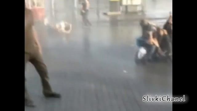 Баран бегает за прохожими Приколы 2019 смотреть онлайн