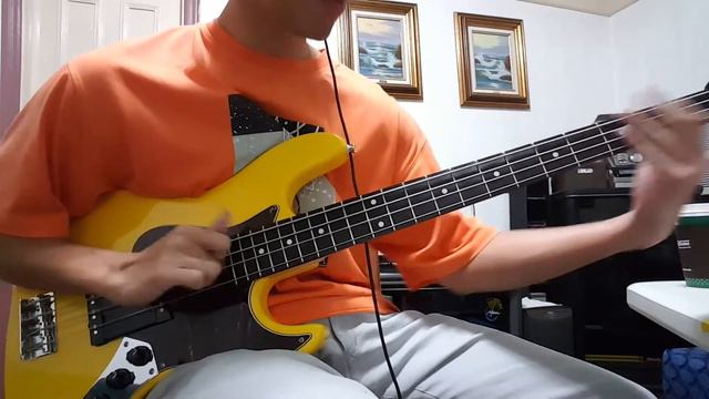 Tell Me Baby - RHCP (Bass cover by Stanley C. with my Bacchus Woodline) смотреть онлайн