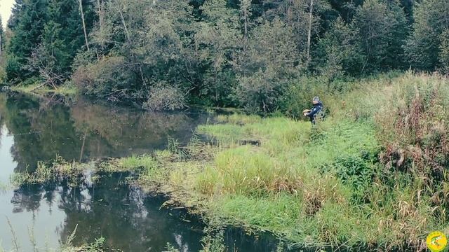 Ищем новые рыбные места! смотреть онлайн