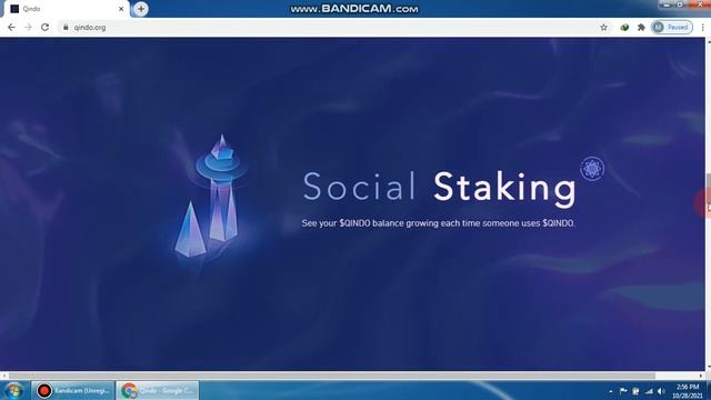 QINDU a Successful Project смотреть онлайн