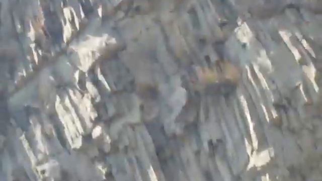 скала фиолент.avi смотреть онлайн