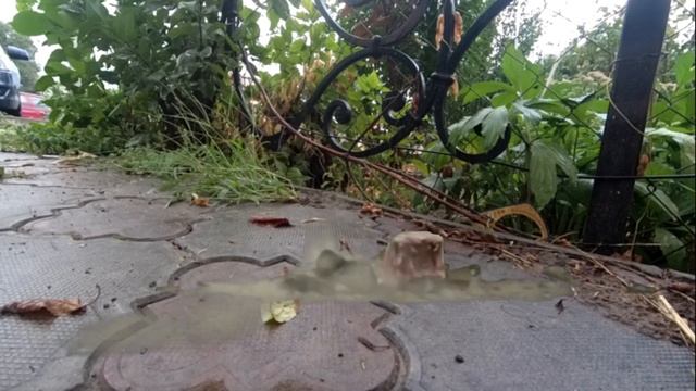 Симферополь МЕГА-ЧЕРВИ-МУТАНТЫ!!!! смотреть онлайн